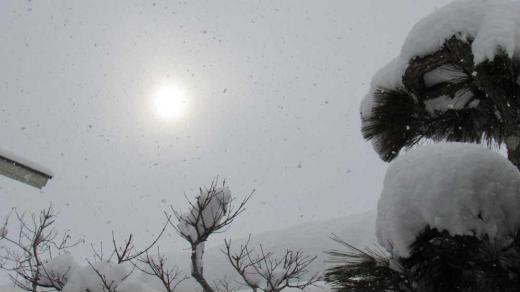 2日続けての30センチ近い積雪に朝から雪の片づけ作業で青息吐息です 2日間で50センチを超える雪で今年は雪が少なくなりそうだとの思いは見事に外れました 今も強く雪が降っておりかなりの積雪になるのでしょうか 隣地の小屋のつららも伸びてきました 夕方にはもう一度雪の片づけが必要かも 明日も雪が降りそうです 雪の片づけお疲れ様です/