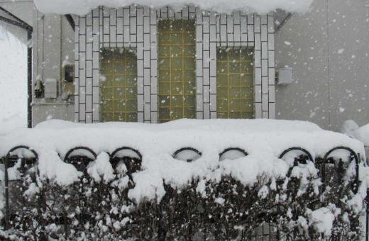 今朝も猛烈に雪が降っています 昨夜からの積雪量はおもったほどではなかったのですがこのまま降り続くとかなりの積雪量となり除雪に追われそうです 連日の雪は今日まででしょうか/