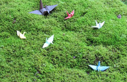 今朝も一面の霧に覆われとても寒い朝を迎えました きっと紅葉も進んで鮮やかな赤や黄色の木々が眺められると期待して訪れた昨日の珍蔵寺ですがまだ紅葉には早く 地面はまだ一面のコケで緑色に染まりふかふかした絨毯のようです そんなコケの上に小さな折り鶴がいくつも置いてありました コケが鮮やかな緑だけに一段と折り鶴が素敵に見えました 鮮やかな紅葉までもう少しかかりそうです/