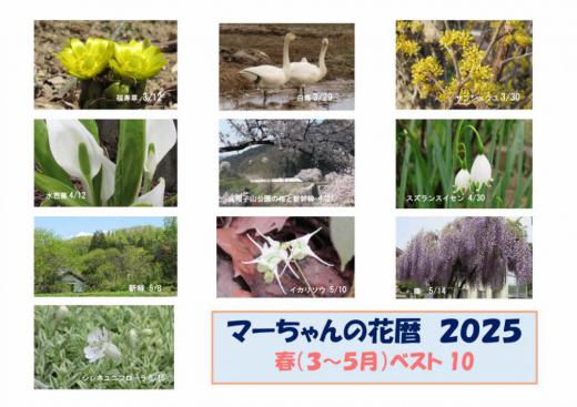 今年もあと4日になりました 雪の季節を迎えアップする花もなくなりましたので 今年1年の花暦を四季に分けて季節ごとのベスト10を選んでみました 選出基準は特になく花にこだわらず季節感を伝えているものを選びました 貴方にとってのベスト1はどれですか/