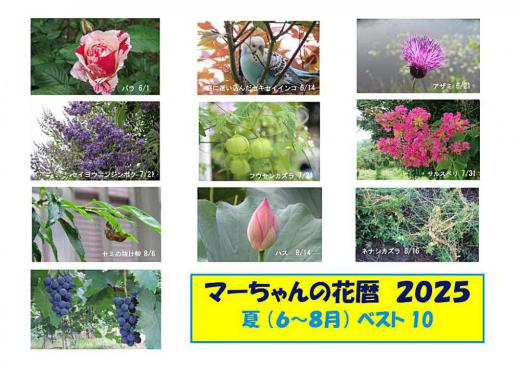 これまでにない猛暑の夏でしたがその暑さにも負けず次々と花を咲かせ実をならせ私たちをとの和ませてくれました 花暦2025夏のベスト10です 夏真っ盛りの暑さで体重が2〜3キロほどやせました 今ではまた元の体重に戻りました 暑い夏を想い出しながらご覧ください/