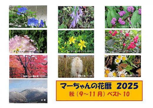 いつまでも暑い日が続き 涼しくなったと思って居いたらあっという間に寒くなり短い秋でした 秋の花暦20259月から11月までの花暦からベスト10を選んでみました 稲は猛暑の影響を受けずに順調に収穫できたようですが果物は例年になく不作だったのでしょうか 今年のリンゴは小ぶりで」蜜の入ったリンゴは一つも目にすることもなく終わりました 安いリンゴだったからでしょうか/