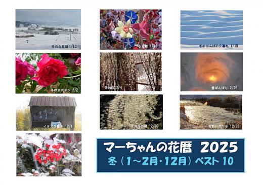大みそかの朝は穏やかな天候で陽も射しています 今年最後のブログとなりました 365日一日も欠かさず毎日駄文とたわいもない写真をアップし続け今年最後の1ページとなりました 今年のブログから冬の花暦2025(1〜2月 12月)を選んでみました 草花や花木の美しさ 鳥や虫たち そして心和む風景は自分を穏やかにさせてくれる元気の源となりました ボケ防止の一つであり今年も何とかここまで生きてこれたことに感謝です よい年をお迎えください/