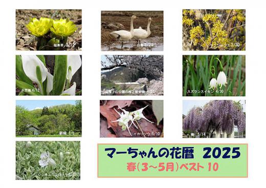 今年もあと4日になりました 雪の季節を迎えアップする花もなくなりましたので 今年1年の花暦を四季に分けて季節ごとのベスト10を選んでみました 選出基準は特になく花にこだわらず季節感を伝えているものを選びました 貴方にとってのベスト1はどれですか/