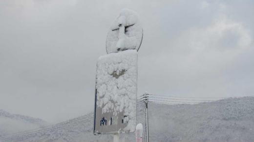 チラチラと雪が降っています あまり雪のないが続いていてホッとしています 西側を向いている道路標識が雪よくえ詠めませんが間もなく解けて文字が現れてきます 近所の期にはクリスマスツリーのようにふんわりと雪が積っています この雪も解けて落ちるのでしょう いつになったら花の便りをとどけられるのでしょうか/