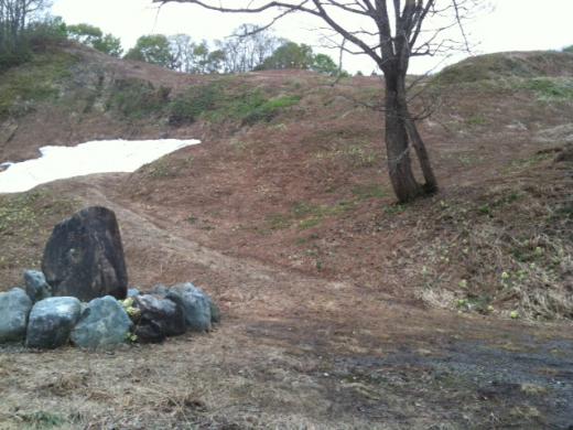 草木塔と駐車場上です!/