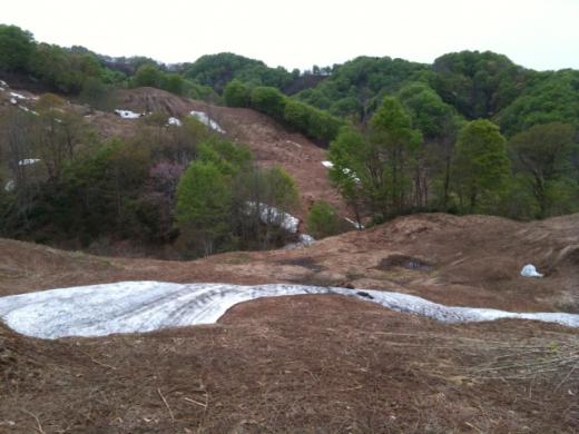 白川わらび園 中です!/