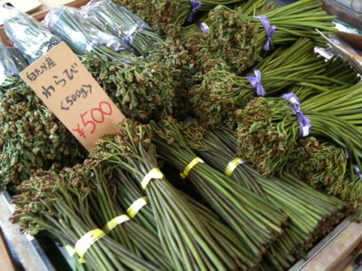 こんなに!!! こんなに!!!/