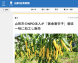 〈Thanks〉山形経済新聞様|黄金唐辛子:2018/12/04 12:36