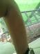 【すみません…。汗だくです…。】:2010/08/07 22:44