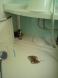 【積み重ねは大事です。】:2011/11/21 22:38