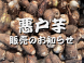 『悪戸芋』販売日のお知らせ：2023/09/12 16:58