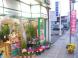 お店も春の装いになりました!:2009/04/11 23:12