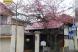 長井まちなかの桜 その1:2010/04/21 16:19