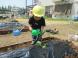 畑活動(幼児組)Part2:2023/06/30 15:02