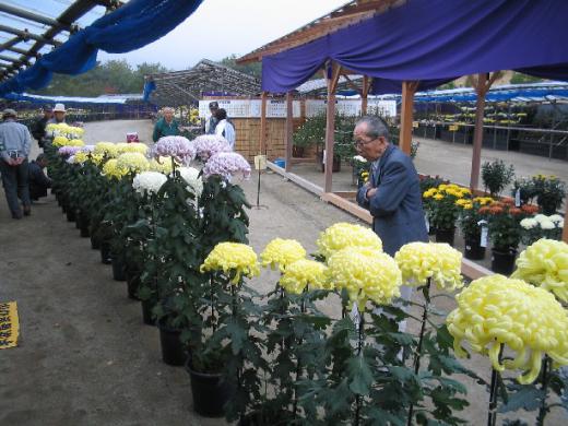 µÆ¤Þ¤Ä¤ê¡ÖÁáºé¿³ºº¡×¡Ê¤½¤Î£³¡Ë/