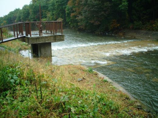 山形県の母なる川「最上川」の源流「松川」/