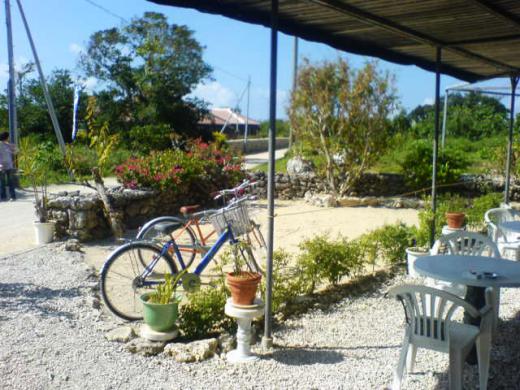 珊瑚の音でお出迎え♪/