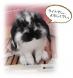 新入りうさぎの「ライト」でし!:2011/03/08 19:42