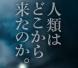 先行上映:2012/08/20 16:41