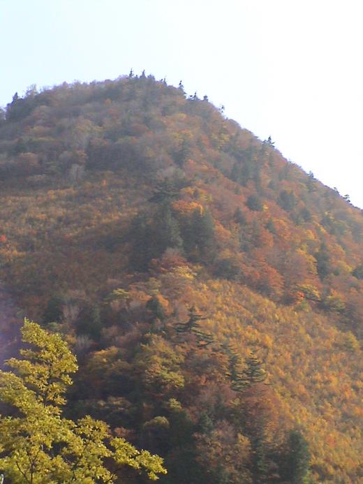 写真3枚目です。/