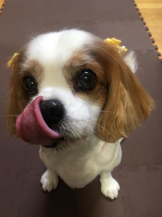 ありがとう メッセージ/