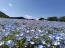 「☆母の日に贈りたいのは【癒し時間】☆」画像