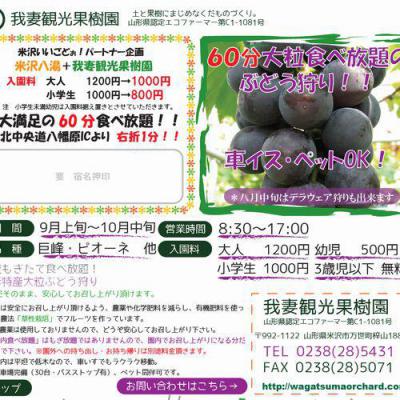 我妻観光果樹園の大粒ぶどう食べ放題が今年もやってきます おきたまジェーピー 置賜観光情報ポータルサイト 我妻観光果樹園の大粒ぶどう食べ放題が今年もやってきます おきたまジェーピー 置賜観光情報ポータルサイト