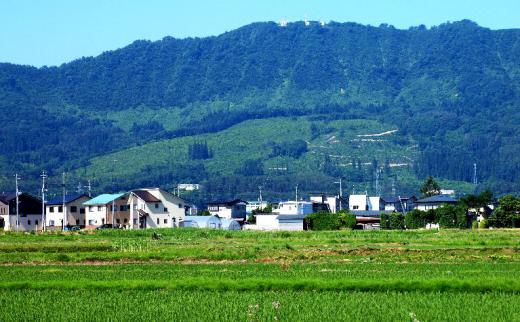 斜平山の自然展について/