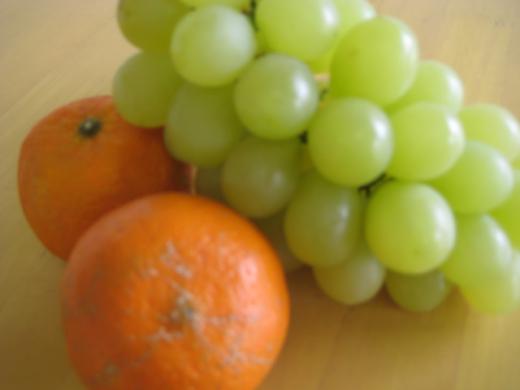 なかよくツーショット!/