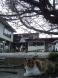 長井にも春がやってきました☆:2013/04/18 22:50