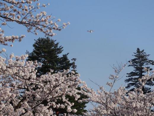 ドローンが飛行/