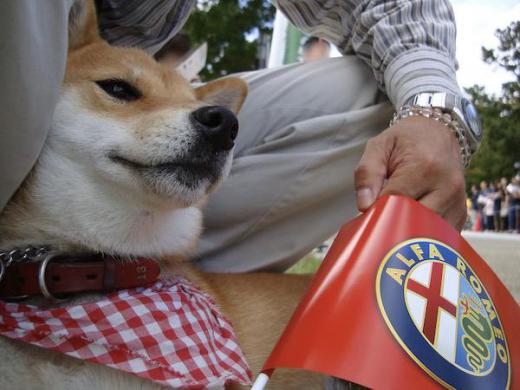 2010-10-10 La_Festa_Mille_Miglia_2010/