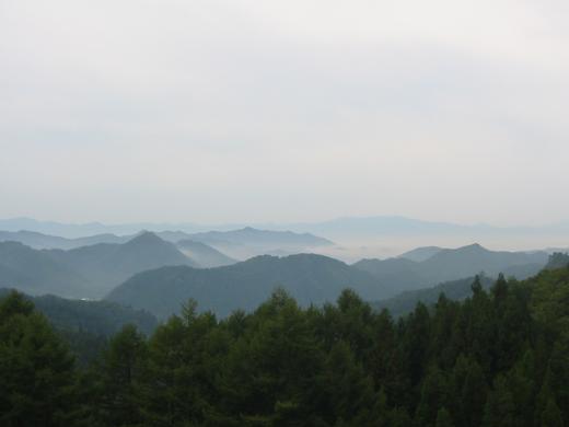 霧が立ちこめるとはこのことかな。/