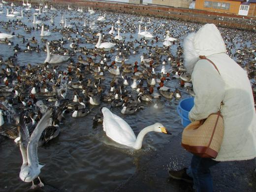ありがとう!(*^_^*)/