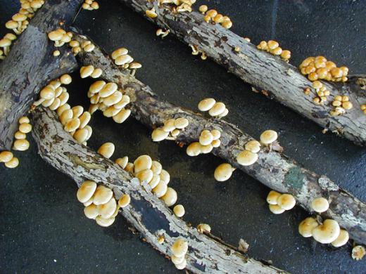 今日は穏やかですね。/