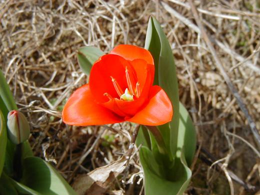 あまりにもかわいいので。。。/