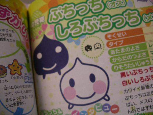 しろぷちっち産まれたらしい。。/