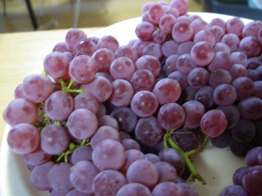 山形ぶどうのデラウエアありがとうございます!/