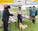 (遊佐町)「くじら」の活動報告 10/1『ゆざ町 で..:2024/03/08 09:00