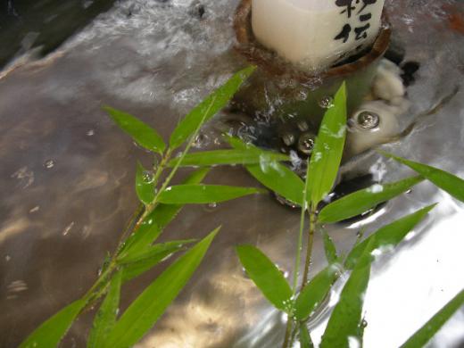 清流庵の豆乳が湧き水に打たれて涼しげでしょう。/