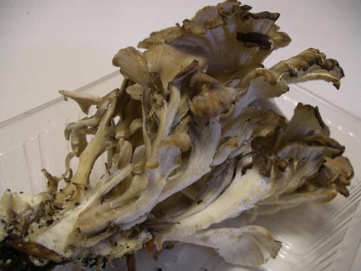 味・香り・食感すべてが王者の風格/