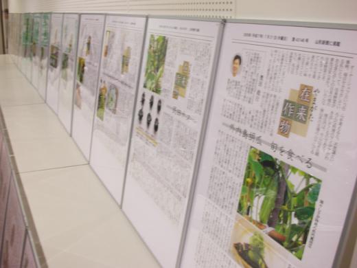 山形新聞の在来作物に関する記事たち/