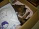 我が家の猫 チョコ逝く：2012/07/03 11:18