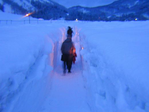 雪の迷路/