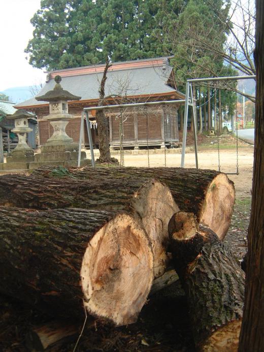 獅子の卵が神社へ/
