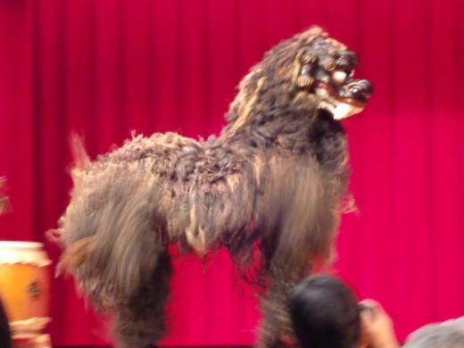 沖縄の獅子/