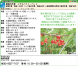 【アルバイト募集】さくらんぼ&いちご農作業_2019年:2019/05/23 10:10