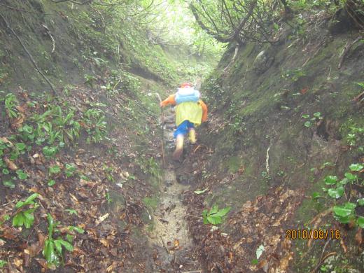 防水機能なしのカメラで撮り続けました(>_/