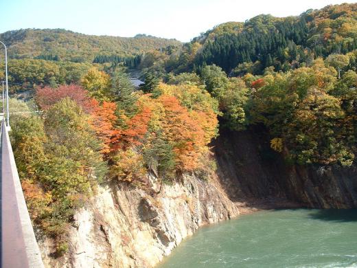 大会当日こんな紅葉が見られればいいですね/